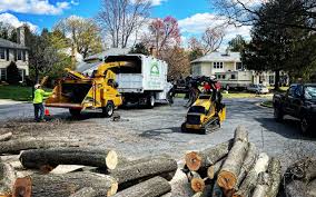 North Utica, IL Tree Removal and Landscaping Services Company